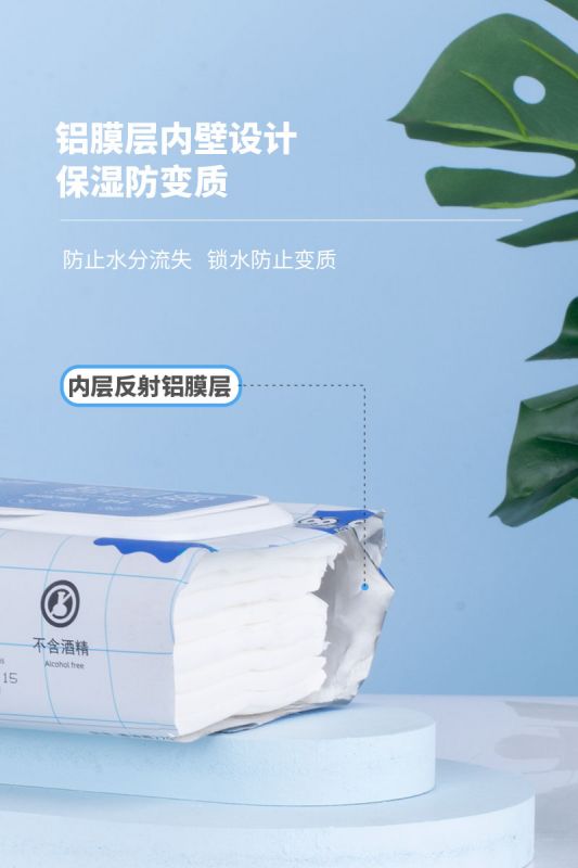 濕廁紙